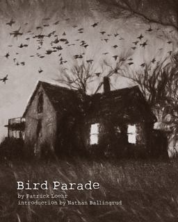 Bird Parade