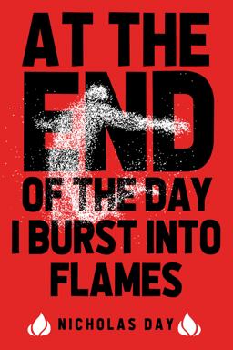 At the End of the Day I Burst into Flames
