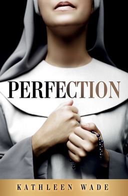 Perfection  9781946697776 Front Cover
