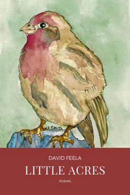 Little Acres Little Acres