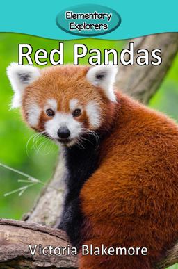 Red Pandas 1st 9781947439207 Front Cover