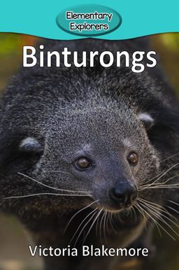 Binturongs  9781947439399 Front Cover