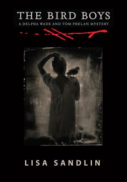 Bird Boys  9781947627130 Front Cover