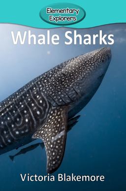 Whale Sharks 1st 9781948388375 Front Cover