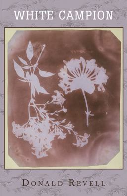 White Campion  9781948579179 Front Cover