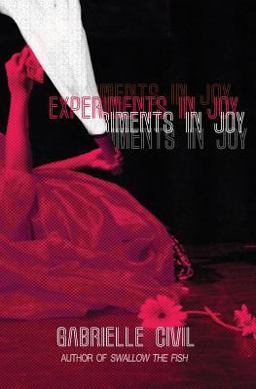 Experiments in Joy  9781948700153 Front Cover