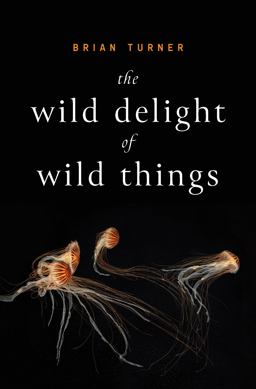 Wild Delight of Wild Things  9781949944532 Front Cover