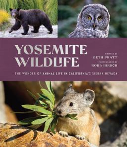 Yosemite Wildlife