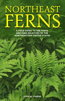 Northeast Ferns A Field Guide to the Ferns and Fern Relatives of the Northeastern United States  9781951682026 Front Cover
