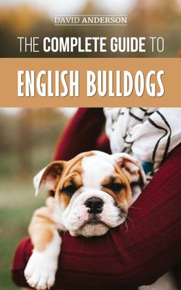 The Complete Guide to English Bulldogs