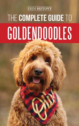 The Complete Guide to Goldendoodles
