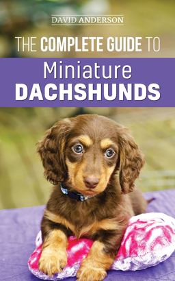 The Complete Guide to Miniature Dachshunds