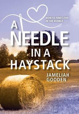 Needle in a Haystack How to Find Love in the Rubble  9781954614710 Front Cover