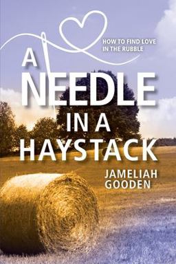 Needle in a Haystack How to Find Love in the Rubble  9781954614727 Front Cover