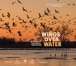 Wings over Water