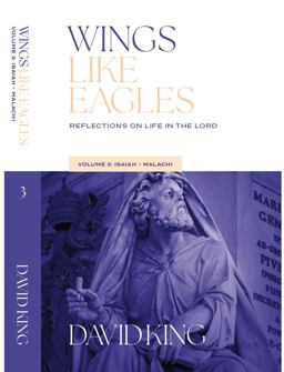 Wings Like Eagles: Reflections on Life in the Lord Volume 3