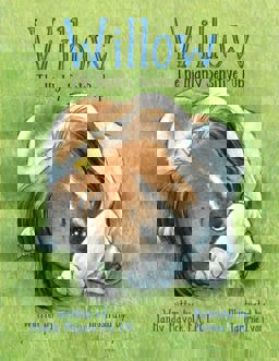 Willow the Highly Sensitive Pup Willow the Highly Sensitive Pup