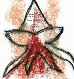 A Wilderness of Mirrors A Wilderness of Mirrors