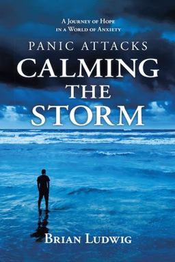 Panic Attacks Calming the Storm Panic Attacks Calming the Storm