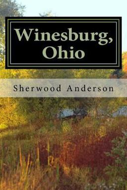 Winesburg, Ohio  9781974184385 Front Cover