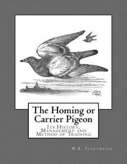 The Homing or Carrier Pigeon