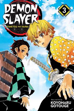 Demon Slayer: Kimetsu No Yaiba, Vol. 3  9781974700547 Front Cover