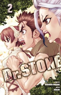 Dr. STONE, Vol. 2  9781974702626 Front Cover