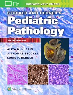 Stocker and Dehner's Pediatric Pathology 5th 9781975144814 Front Cover