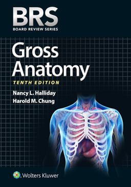 BRS Gross Anatomy 10th 9781975181376 Front Cover