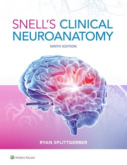 Snell's Clinical Neuroanatomy 9th 9781975195946 Front Cover
