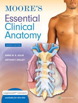 Moore's Essential Clinical Anatomy 7th 9781975215118 Front Cover