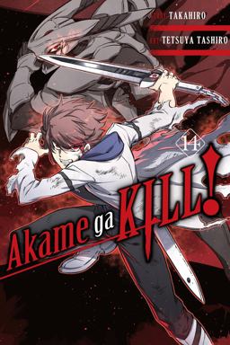 Akame Ga KILL!, Vol. 14  9781975300418 Front Cover