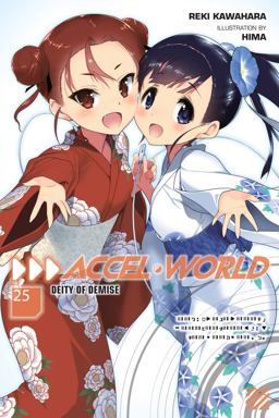 Accel World, Vol. 25 (light Novel)