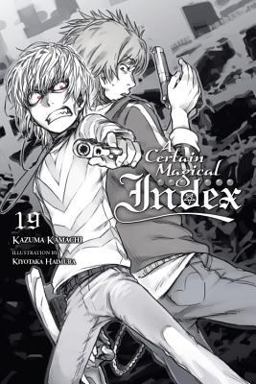 A Certain Magical Index, Vol. 19 (light Novel)