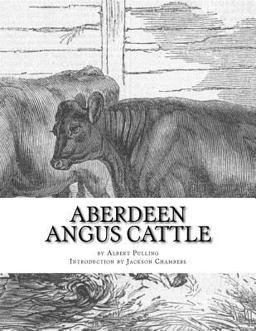 Aberdeen Angus Cattle