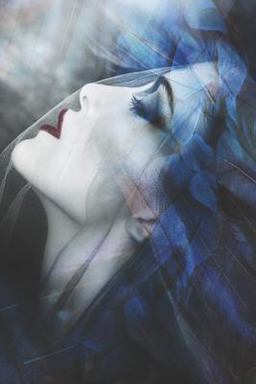 ShadowHouse Series: Finding Sanity Volume 1