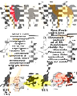 Svenska-Franska Bilduppslagsbok Med Djur För Tvåspråkiga Barn Dictionnaire des Animaux Illustré Bilingue Pour Enfants