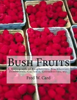 Bush Fruits