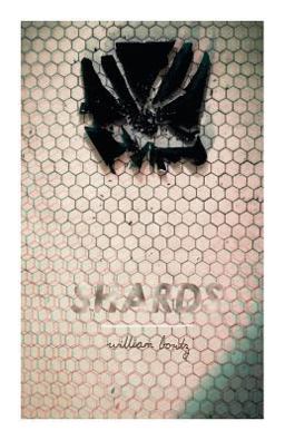 Shards 1st 9781979203371 Front Cover