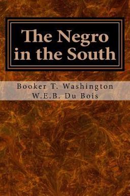 The Negro in the South The Negro in the South
