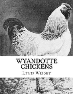 Wyandotte Chickens