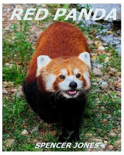 Red Panda