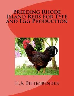 Breeding Rhode Island Reds for Type and Egg Production