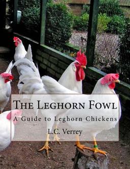 The Leghorn Fowl