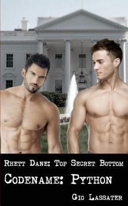 Rhett Dane: Top Secret Bottom
