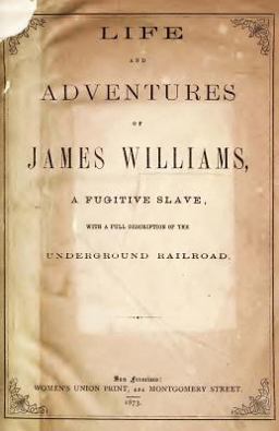 Life and Adventures of James Williams