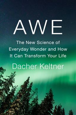 Awe The New Science of Everyday Wonder and How It Can Transform Your Life 2023 9781984879684 Front Cover