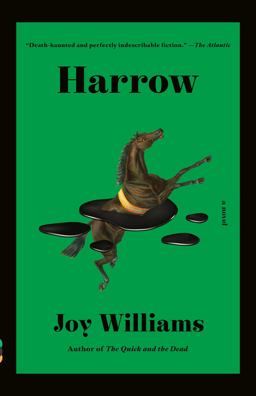 Harrow A Novel (Kirkus Prize)  9781984898807 Front Cover