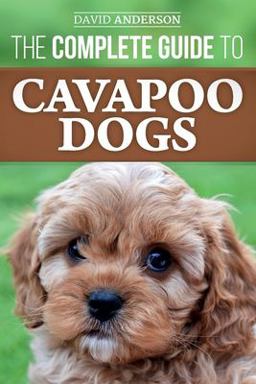 The Complete Guide to Cavapoo Dogs