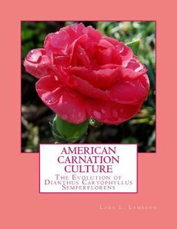 American Carnation Culture